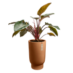 amber grail high 47cm caramel